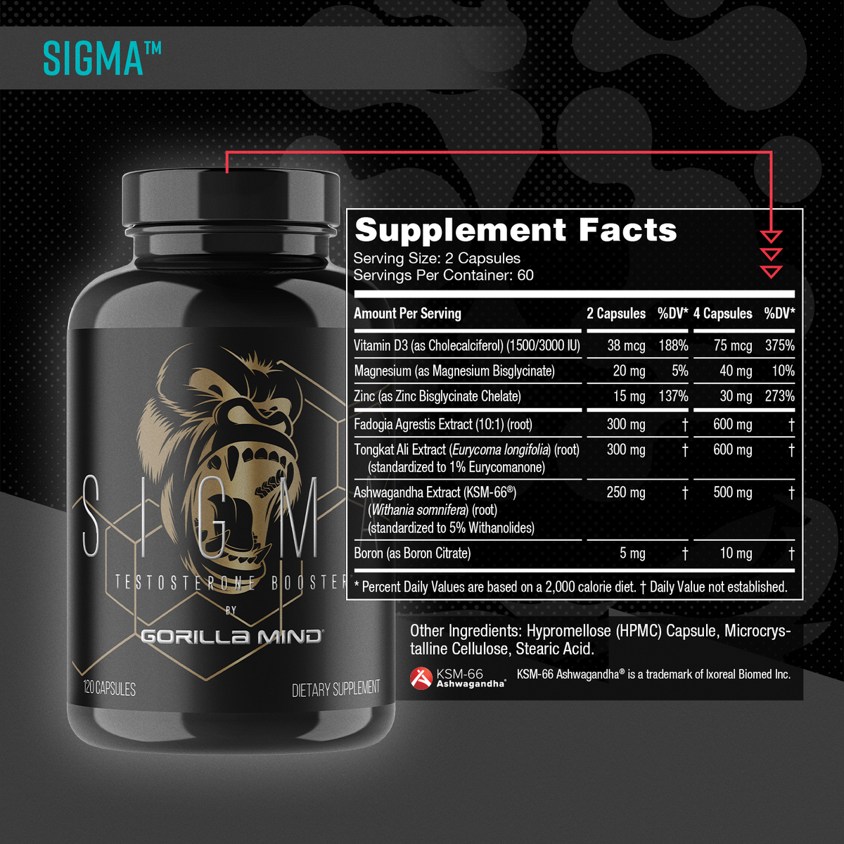 Male Performance Stack